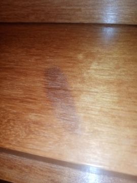 Furniture Repair Professional