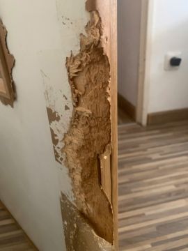 Door Repair