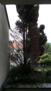 Gartenhelfer