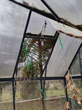 Landscaping - Home Improvements