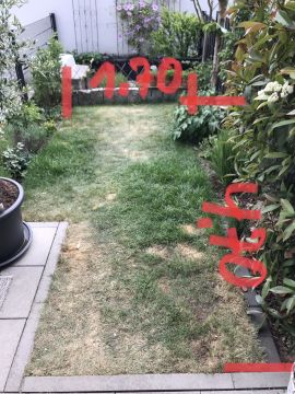 Artificial Turf Specialist