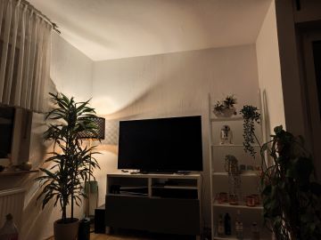 Techniker für Fernseher Wandmontage