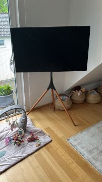 TV Repair Specialist