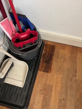 Spécialiste des sols en bois