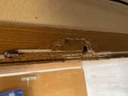 Door Repair