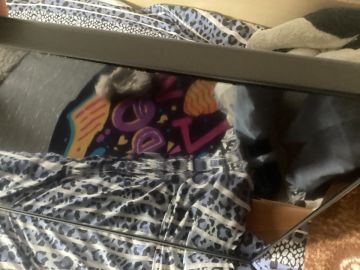 TV Repair Services