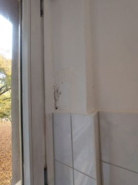 Mold Inspection and Removal - Cleaning