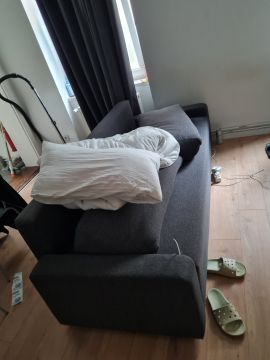 Bettwanzen bekämpfen