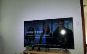 TV Mounting Specialist