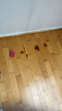 Experten für Parkettböden