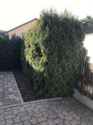 Fence Installer