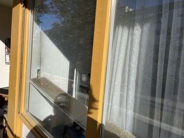 Fenster