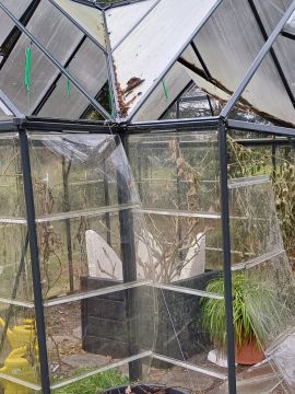 Greenhouse Services