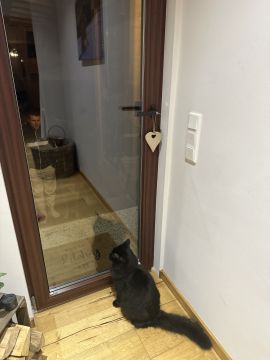 Fachmann für Katzenklappen