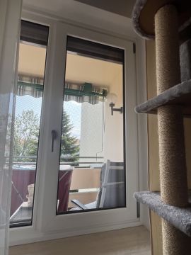 Fachmann für Katzenklappen