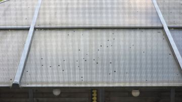 Handwerkerservice - Haus