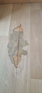 Flooring - Home Improvements