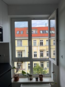 Window Repair