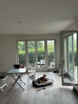 Move-in / Move-out Cleaner - Domestic Services