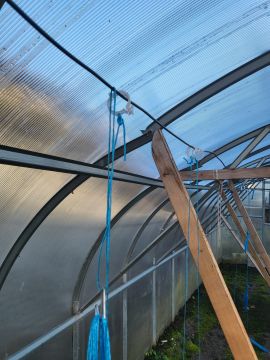 Greenhouse Services