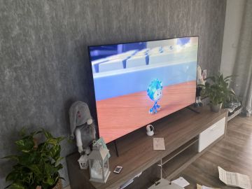 TV Mounting Specialist