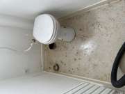 Water Damage Specialist