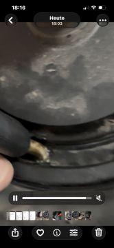 Eléctricos