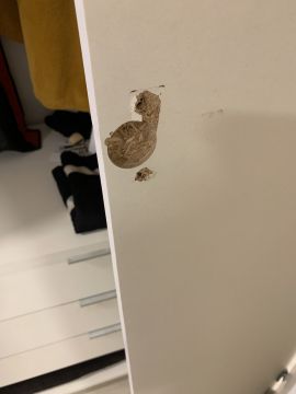 Schrank reparieren