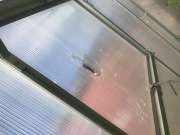 Greenhouse Services