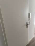 Door Repair