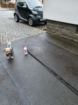 Concrete/Cement/Asphalt