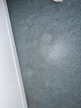 Spezialisten für Vinyl- oder Linoleumböden