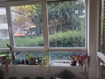 Katzenklappe einbauen