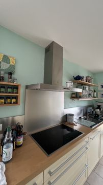 Kitchen Fan Professional