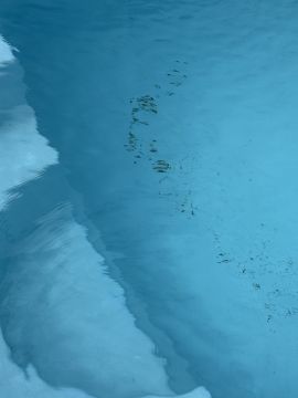 Pool Repair