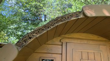 Spezialisten für Saunas - Haus