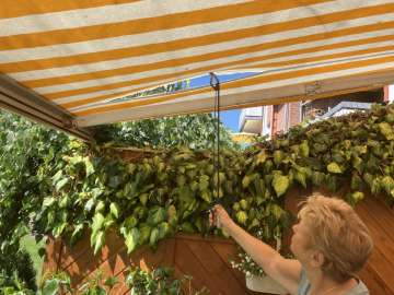 Awning Repairman