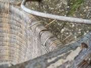 Carpentry and Woodworking