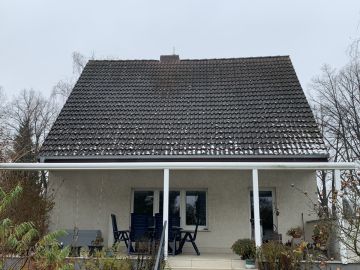 Dachreiniger