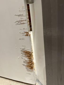 Door Repair - Doors