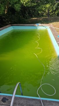 Spécialiste du nettoyage de piscine