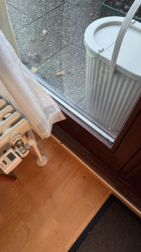 Fachmann für Katzenklappen