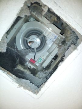 Bathroom Fan Professional
