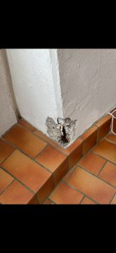Concrete Repair and Maintenance