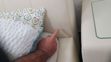 Spezialisten für Polster