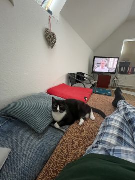 Tierpension