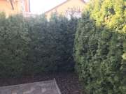 Fence Installation
