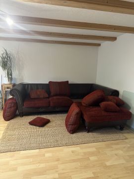 Limpiador de tapicerias y muebles