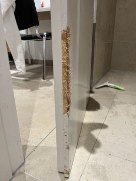 Door Repair