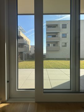 Fachmann für Katzenklappen